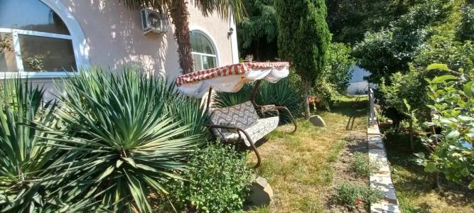 Зеленая гора - 17