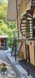 Зеленая гора - 19