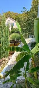 Зеленая гора - 8