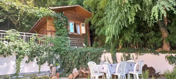 Зеленая гора - 13