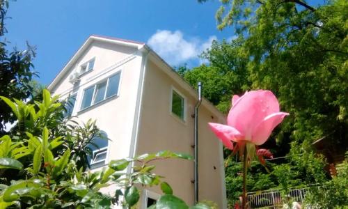 Зеленая гора - 1