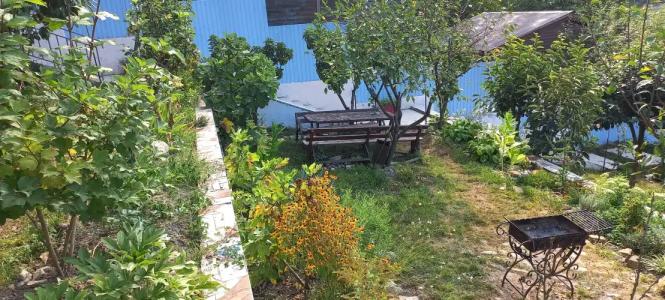 Зеленая гора - 6