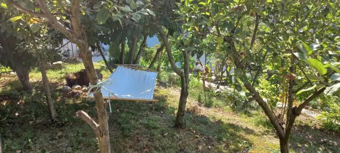 Зеленая гора - 10