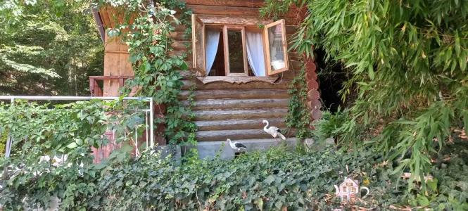 Зеленая гора - 15