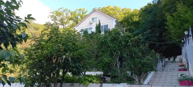 Зеленая гора - 4