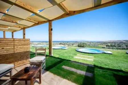 Datça Vineyard - 30