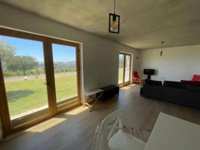 Datça Vineyard - 21