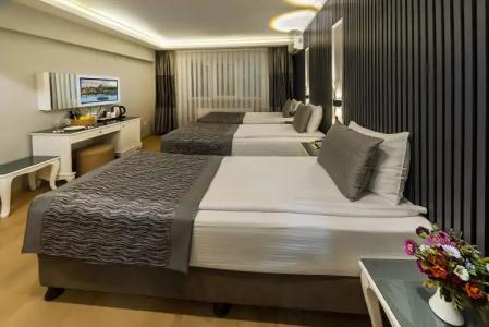Beyazit Palace & Spa - 103