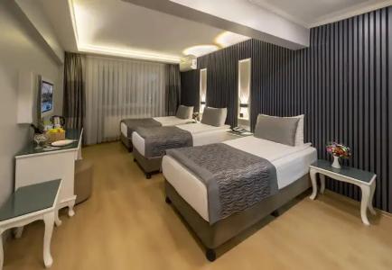 Beyazit Palace & Spa - 100
