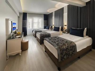 Beyazit Palace & Spa - 135