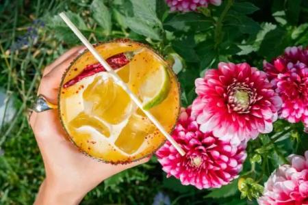 Casa Lavanda Boutique - 11