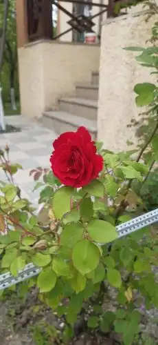 Gabala Sweet Home - 28