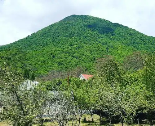 Gabala Sweet Home - 9