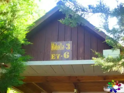 Malibu - 75