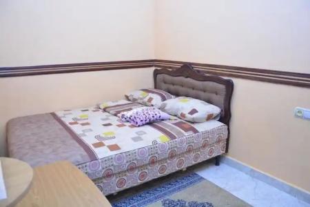 Green Hostel and Tours - 4