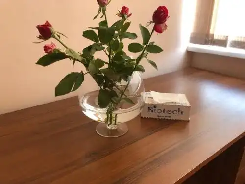 Biotech Guest Room - 11