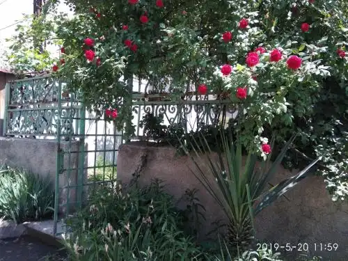 Family Guest House - 54