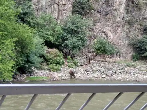 Family Guest House - 58