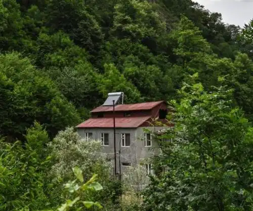 Jivanq - 7