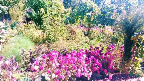 Guest House Armina - 19