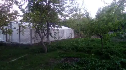 Guest House Armina - 30
