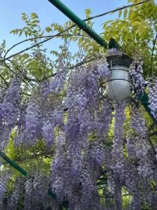 Ashtarak Garden GuestHouse - 4