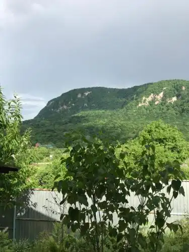 Экодом - 61