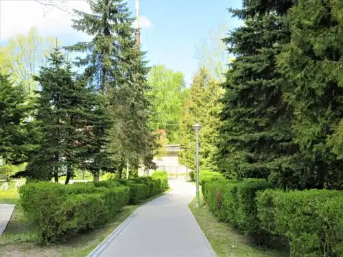 Мечта - 10