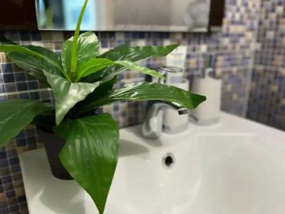 White Sea на Чеснокова - 9