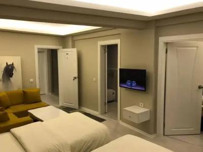 Batusay Park Otel - 5