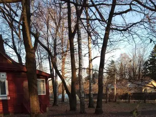 Forest INN Vnukovo - 6