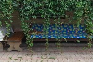 Дом, баня, бассейн, Арсеньев