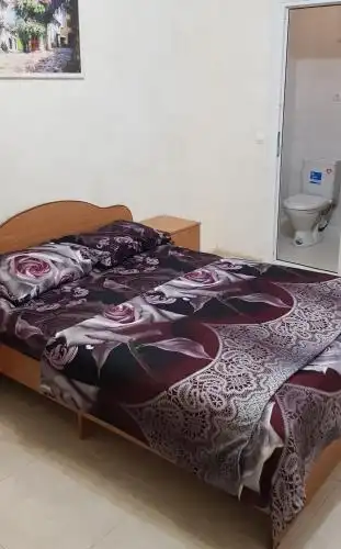 Дельфин - 20