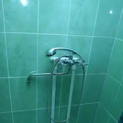 Вяз - 15