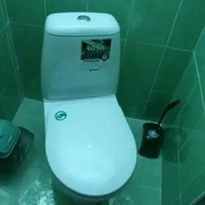 Вяз - 16