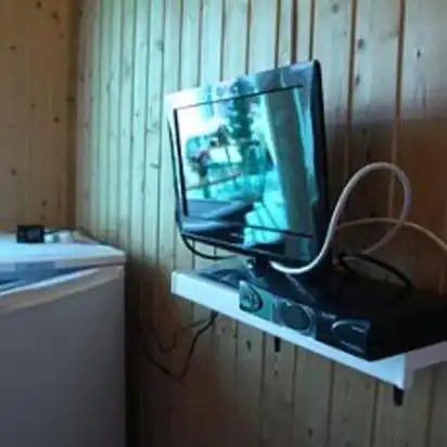 Вяз - 6