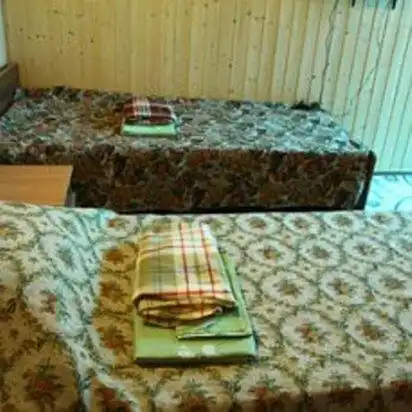 Вяз - 12