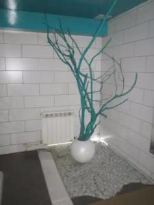 Жемчужина - 20