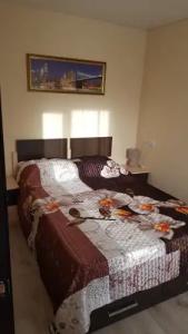 Ломоносов - 30