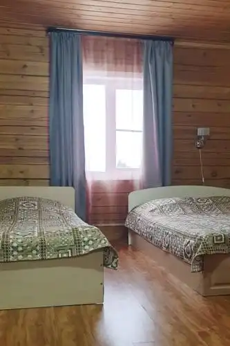 Гуси-Лебеди - 1