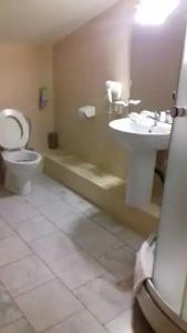 Спортинг Парк - 24