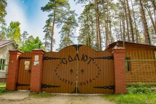 Салют - 23