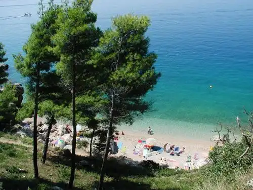Beach Resort Mala Luka - 43