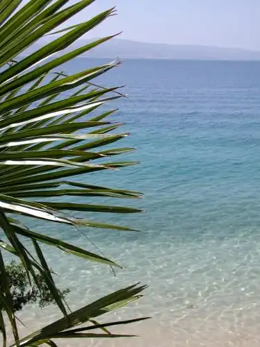 Beach Resort Mala Luka - 22