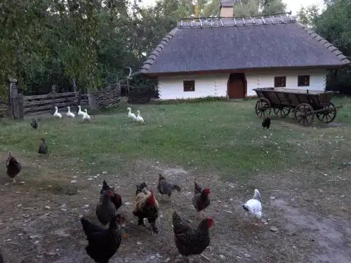 Мамаєва Слобода - 32