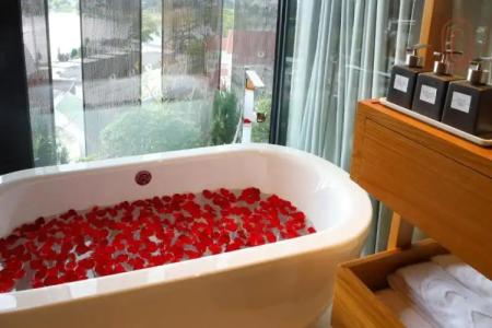 Hôtel Colline - 183