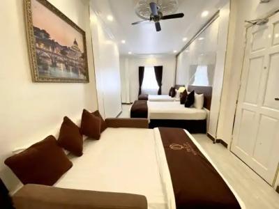 Tulip City View - 39