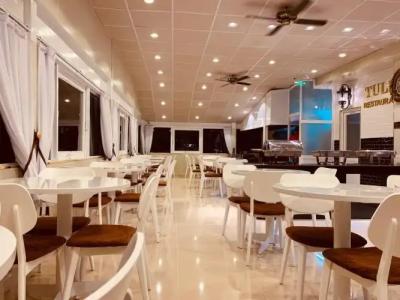 Tulip City View - 24