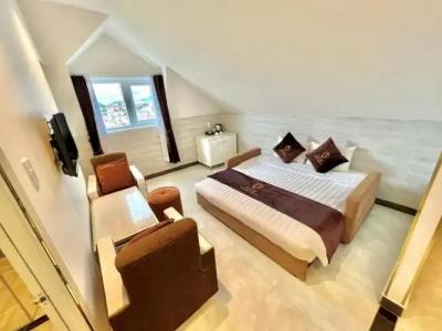 Tulip City View - 82