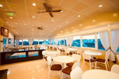 Tulip City View - 25